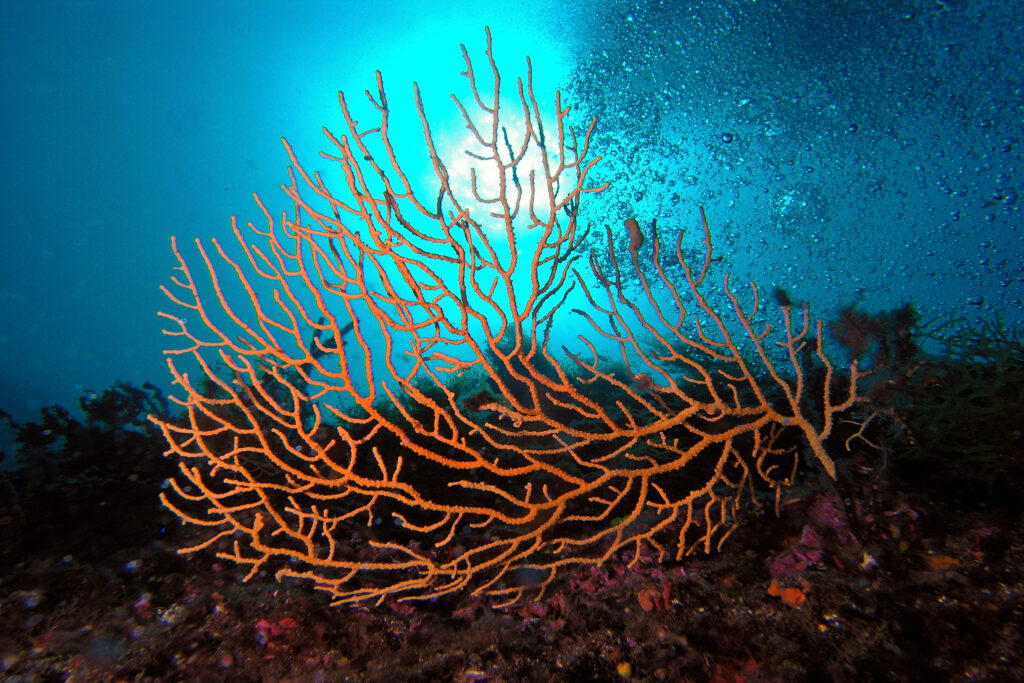 image-banner-internal-4-1024x683